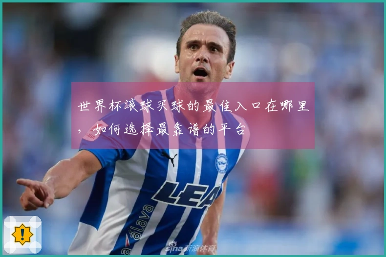 世界杯滚球买球的最佳入口在哪里，如何选择最靠谱的平台