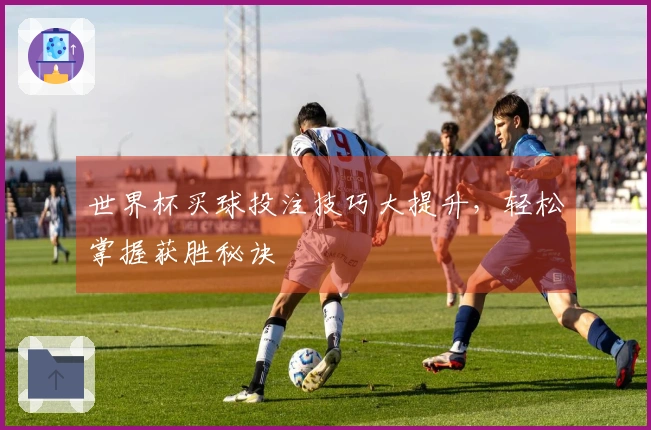 世界杯买球投注技巧大提升，轻松掌握获胜秘诀