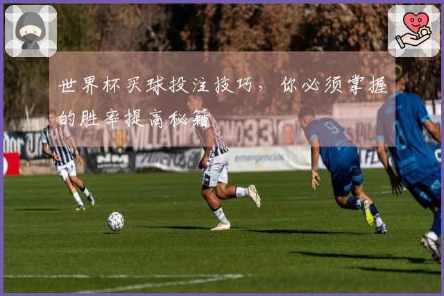 世界杯买球投注技巧，你必须掌握的胜率提高秘籍