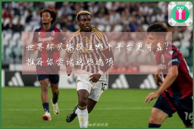 世界杯买球投注哪个平台更可靠？推荐你尝试这些选项