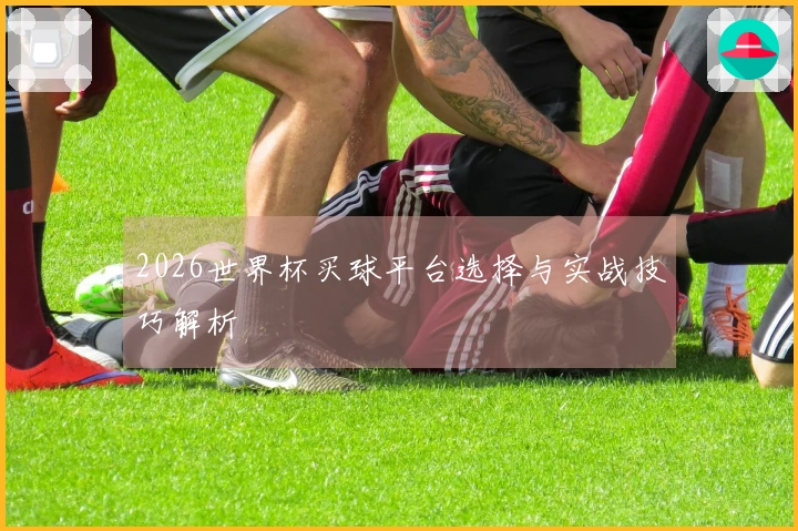 2026世界杯买球平台选择与实战技巧解析
