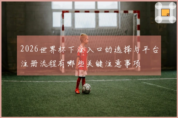 2026世界杯下注入口的选择与平台注册流程有哪些关键注意事项