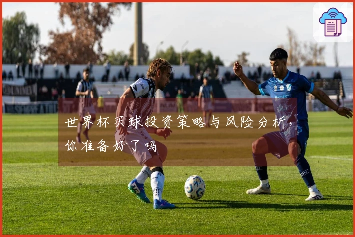 世界杯买球投资策略与风险分析，你准备好了吗