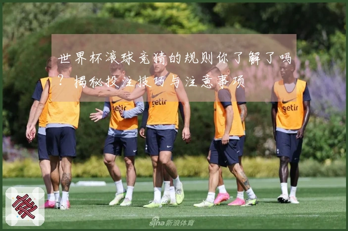 世界杯滚球竞猜的规则你了解了吗？揭秘投注技巧与注意事项