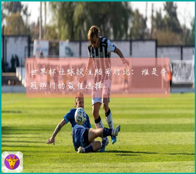 世界杯让球投注赔率对比：谁是夺冠热门的最佳选择